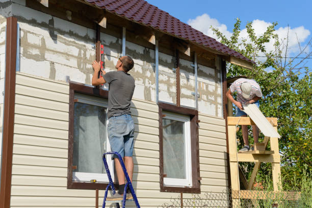 Best Siding Repair  in Loyal, WI