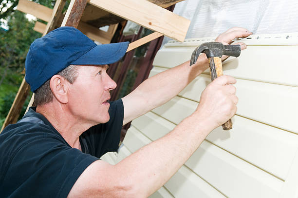 Best Vinyl Siding Installation  in Loyal, WI
