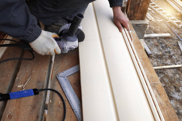 Best Fascia and Soffit Installation  in Loyal, WI
