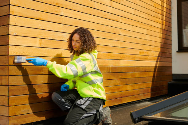 Affordable Siding Repair and Maintenance Services in Loyal, WI
